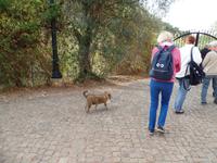 Singlereise Portugal _ Bergdorf Alte