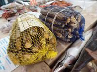Singlereise Portugal _ Fischmarkt in Lagos