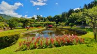 Stadtpark von Furnas