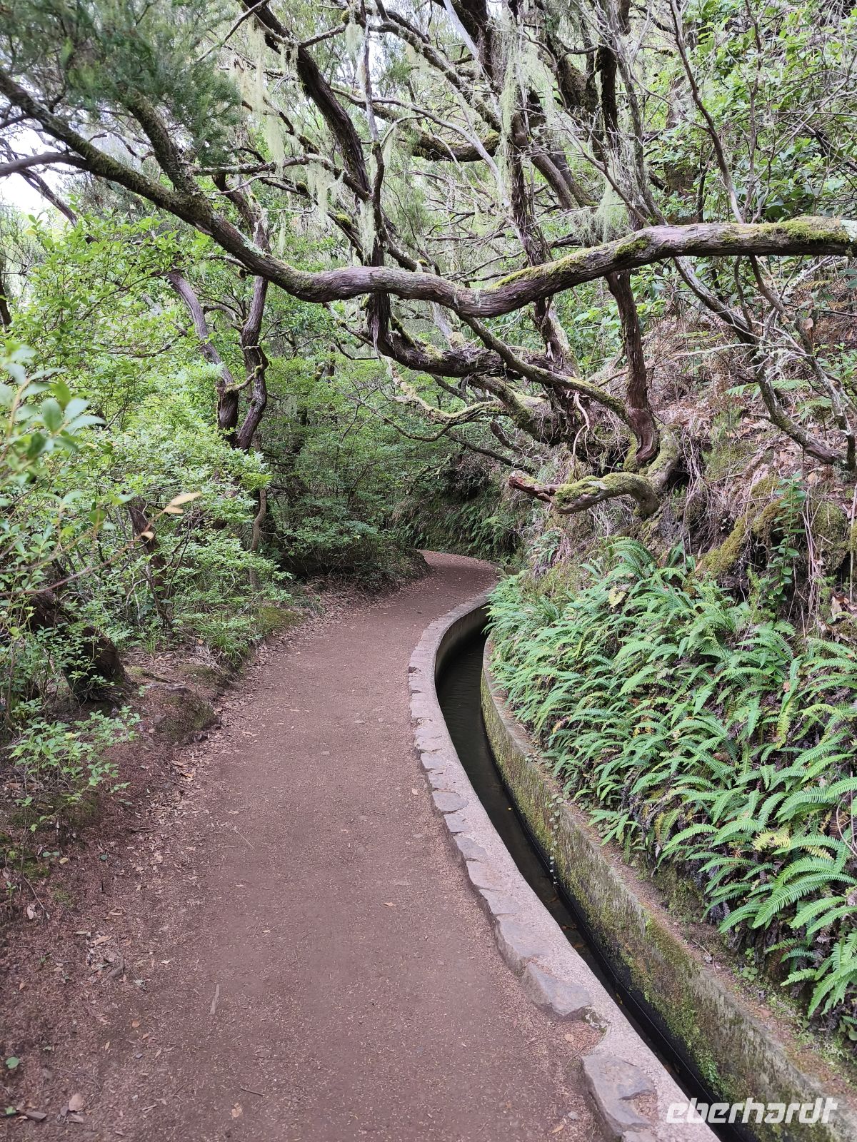 Tag 2 Blick auf Baumheide entlang der Levada 25 Quellen 