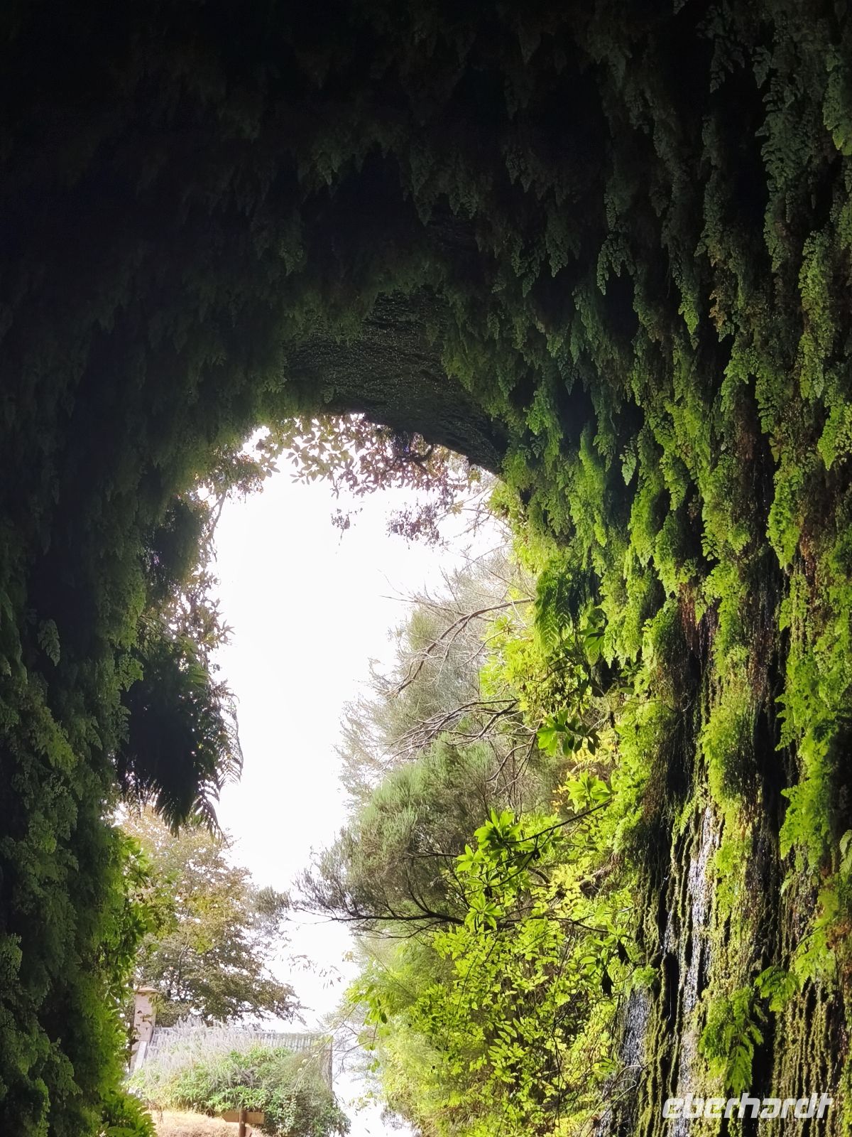 Tag 2 Blick auf Tunnelausgang von Rabacal nach Calheta 