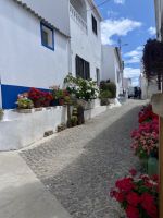 Tag 3 - Penina