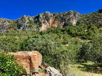 Tag 3 - Tafelberg 