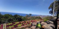 Tag 3 Blick über den Botanischen Garten Funchal