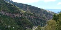 Tag 3 Blick auf die Seilbahn vom Botanischen Garten nach Monte