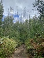 Tag 5 - Der Weg