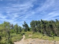 Tag 6 - Unser Weg