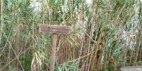 Tag 6 Wanderwegweiser zum Aussichtspunkt Boca do Risco