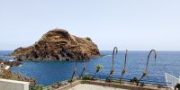 Tag 7 Schwanenhalsalgave am Hafen Porto Moniz