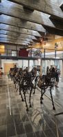 Terceira, Angra, Museum
