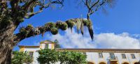 Terceira, Angra, Sitz des Präsidenten der Azoren