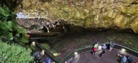 Terceira, Höhle Algar do Carvao