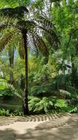 Terra Nostra Park in Furnas