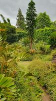 Terra Nostra Park in Furnas