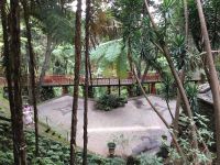 Tropischer Garten