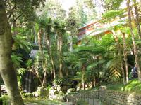 Tropischer Garten