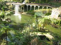 Tropischer Garten