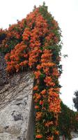 Und immer wieder Natur
