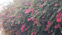 Und immer wieder Natur