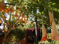 Unser Hotel