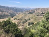 Vale de Mendiz