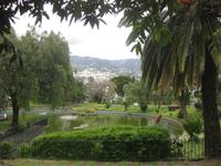 Victoria-Park Funchal