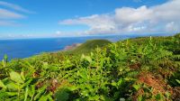 Vulcankrater Wanderung