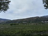 WEINGUT