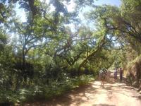 Wanderung 