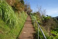 Wanderung (2)