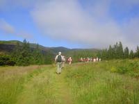Wanderung Misterios Negros auf Teiceira