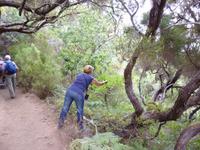 Wanderung Rabacal 