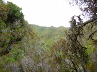 Wanderung Rabacal 
