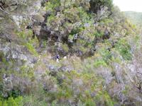Wanderung Rabacal 