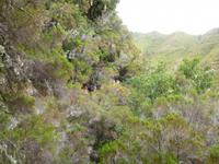 Wanderung Rabacal 