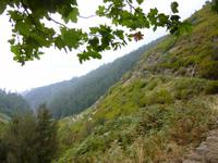 Wanderung Rabacal 