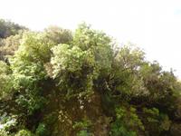 Wanderung Rabacal