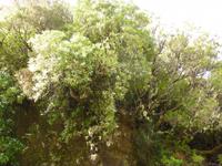 Wanderung Rabacal