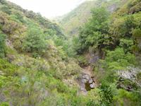 Wanderung Rabacal