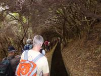 Wanderung Rabacal