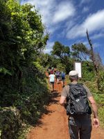 Wanderung Sao Jorge