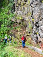Wanderung an der Levada da Ribeira da Janela