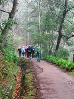 Wanderung an der Levada da Serra do Faial