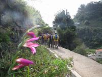 Wanderung entlang der Levada von Marocos 