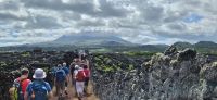 Wanderung entlang der Weinfelder auf Pico