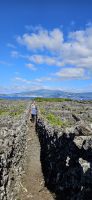 Wanderung im Weinanbaugebiet auf Pico
