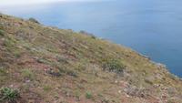 Wanderung in Ponta Sao Lourenco