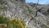 Wanderung vom Pico Arieiro zum Pico Ruivo