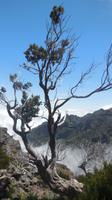 Wanderung vom Pico Arieiro zum Pico Ruivo