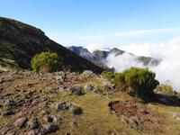 Wanderung von Achada do Teixeira zum Pico Ruivo 